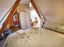 Gîte sous le toit du vigneron