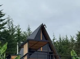 Cabin with Private Jacuzzi and Mountain View