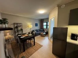 Central city apartment Sogndal