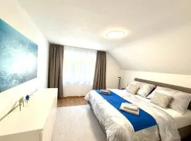 Trewia 8 - Modern Apartment Vaduz Center - free Parking
