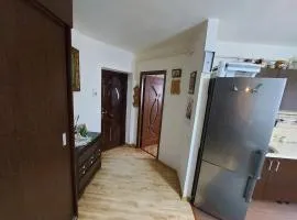 Stejarului Apartment