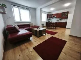 Apartment in Trenčín - close to the city center
