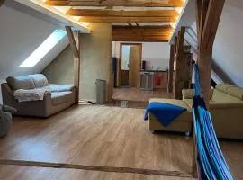 Studio-Style Apartment