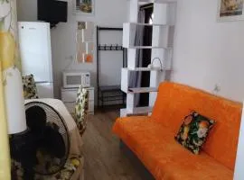 Willa pod Świerkami