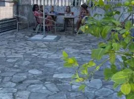 Bratica Domaća