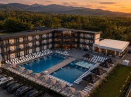 Lotus & Spa, hotel Aknaszlatinán