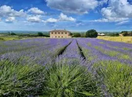 Terre di Vulci Fiora