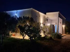 Dar Zakia