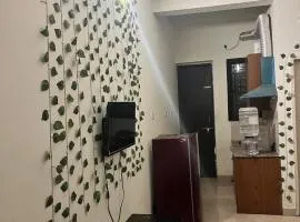 Trydan room stay