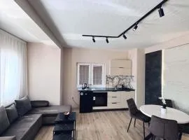 Chifte Furne Bitola Apartment