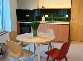 Apartmán Na Mýtě
