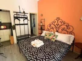 "Little Sicilian Home"-room with a private bathroom & kitchen -fridge - and shared a beautiful terrace on Hostel Taormina Center