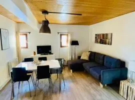 T2 cosy - proche pistes et vue montagne