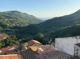 Lumira Vista Panorama