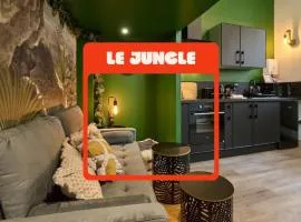 "Little Jungle" appartement Atypique dans le centre ville de Nevers