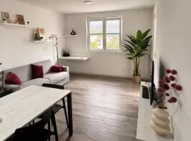 Civico27-modern apartment in Sondrio