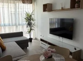 Apartamentos FELIP 2