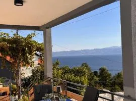 The Lake View House