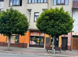 Apartmán C Luhačovice