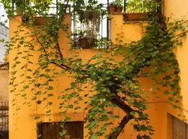 Appartamento con terrazza La Voliera di Bacco