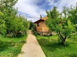 Saghbine bungalows