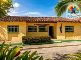 Guacamayas del Mar