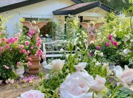Napa Mount Veeder Sanctuary And Gardens