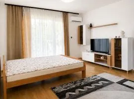 Apartment Pasic