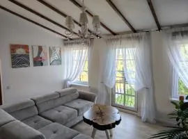 Pliusas Residence