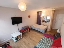 Studio charmant à Clermont-Ferrand, 31 m²