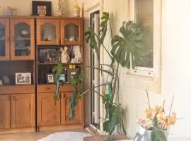 House with garden in Marinha da Mendiga