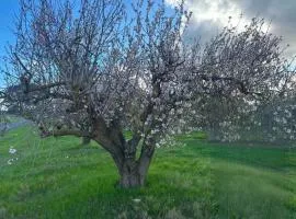 Willunga Farm Retreat