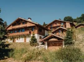 MAISON DOMINOS Chalet de Luxe 5 chambres Vue MontBlanc ,Spa, Jacuzzi, Salle de sport