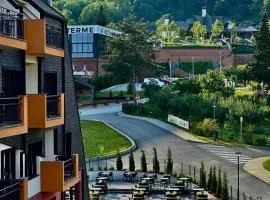 Fruške 202 studio apartman