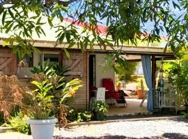Studio charmant à Sainte-Anne avec piscine partagée - 60 m²
