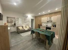 Venegoni House