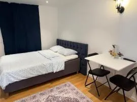Modern Mini Apartment