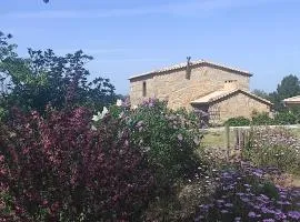 Quinta Damigo