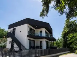Vila Dominus Lux