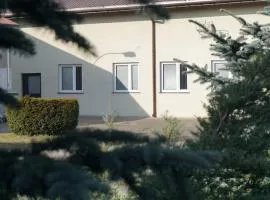 Hostel Luman