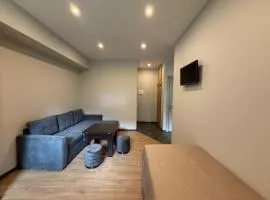 Apartamentai Prienuose - Patogi nakvynė šalia Birštono