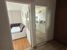 Kuriozinis Namelis pas Domanta