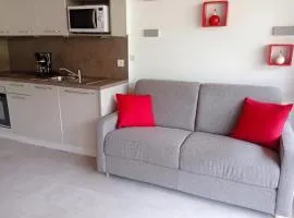 Studio accueillant à Les Carroz, 27 m², vue montagne