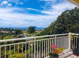 Maison charmante à Le Diamant avec vue sur mer et jardin