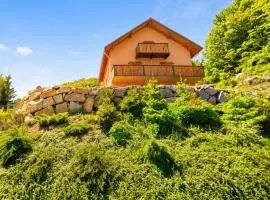 Appartement confortable à Cornimont 30 m² vue montagne