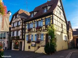 Appartement cosy avec cheminée à Eguisheim - 110m² - Terrasse
