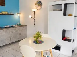 Studio confortable à La Trinité 30 m² avec vue mer et jardin