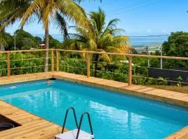 Villa moderne avec piscine à Sainte-Rose, 160 m²
