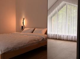 Ozeris Hotel & Restaurant, hotel in Shatsk