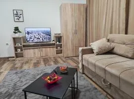Apartmani Peric Bogatic